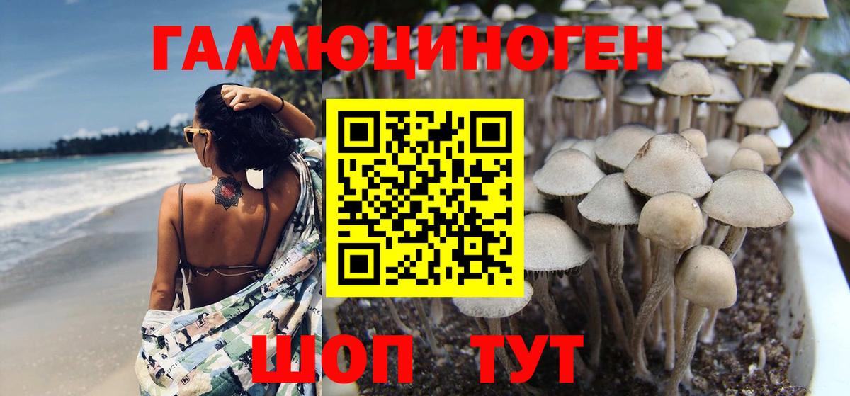 Бийск  Галлюциногенные грибы Magic Shrooms  Вход с VPN 